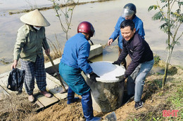 Lan tỏa phong trào bảo vệ môi trường từ cơ sở