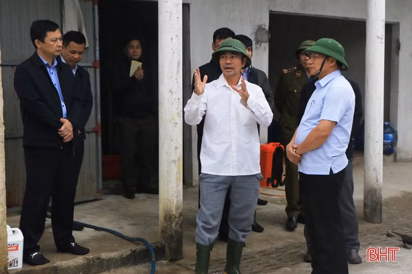 Chủ động phòng tránh dịch nhưng không bài trừ thịt lợn có nguồn gốc