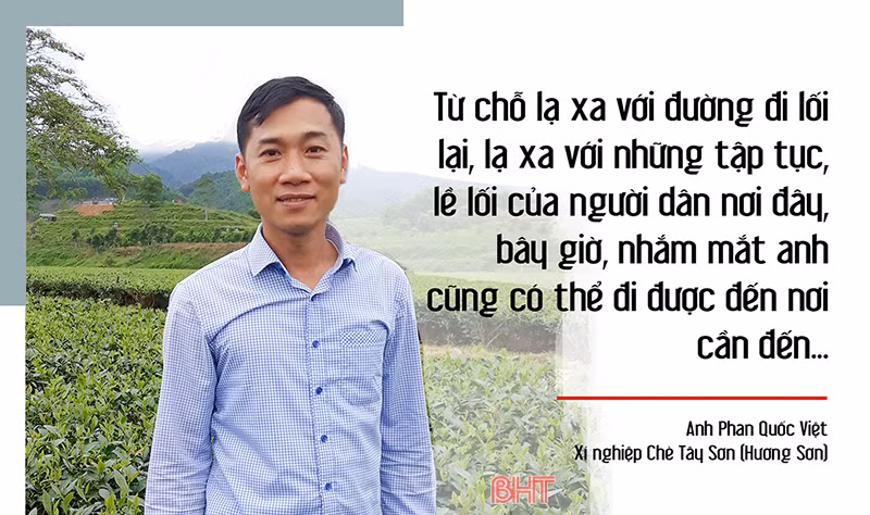 Chuyện từ những đồi chè VietGAP ở Hà Tĩnh