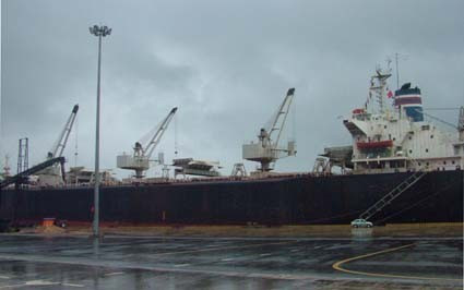 Gỗ băm dăm vẫn là mặt hàng xuất khẩu chủ lực của Hà Tĩnh trong năm 2010