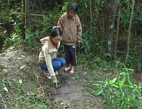 Vết chân voi trong vườn nhà chị Lê Thị Xoan ở xóm kiều, xã Hương Điền (Hương Khê)...