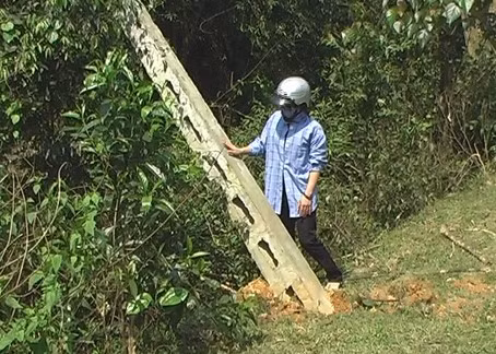 ...và quật nghiêng nhiều cột điện thoại trên tuyến Tỉnh lộ 5