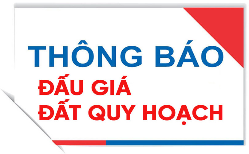 Dau-gia-.jpg