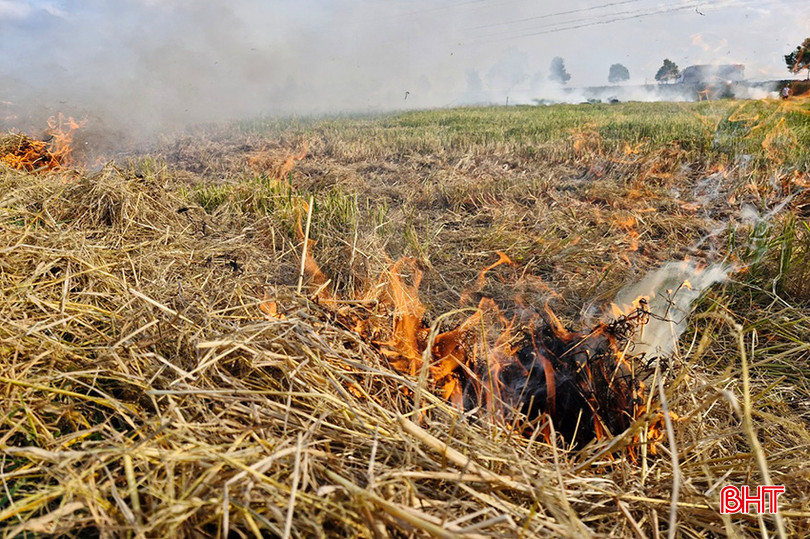 Theo khuyến cáo của ngành nông nghiệp, nông dân không nên đốt đồng. Bởi lẽ, việc làm này không chỉ gây nguy hiểm trực tiếp đến người đốt mà còn ảnh hưởng đến môi trường, thải khói bụi vào không khí. Trong kỹ thuật canh tác, đốt đồng sẽ dễ làm chai đất, đất sẽ nhanh chóng bị bạc màu, thoái hóa.
