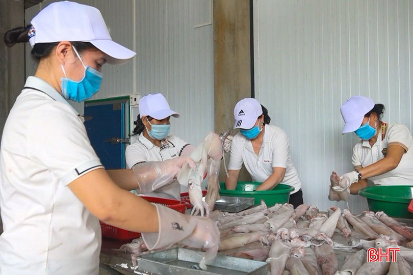 Để làm món mực khô hoặc mực 1 nắng, đòi hỏi người chế biến phải tỉ mẩn trong từng công đoạn. 1.2.jpg
