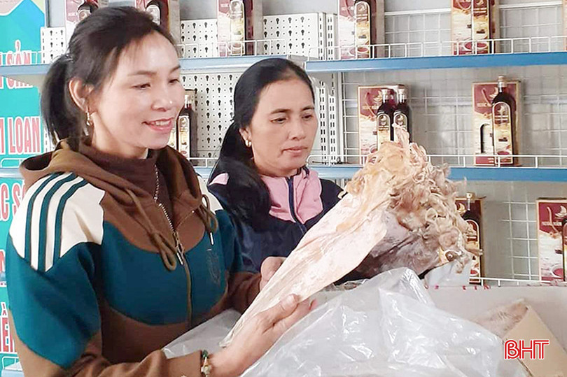 Mực khô Hà Tĩnh là một trong những đặc sản làm quà được du khách lựa chọn. 1.1.jpg