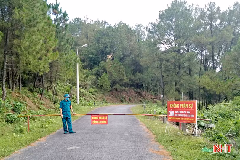 DT z5384652873889_928d362043a6101086a1d9bc6870c2ef.jpg