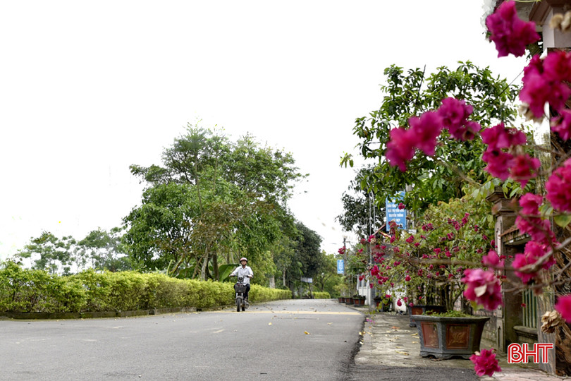 Được sự đồng thuận của Nhân dân, các tuyến đường ở xã Thuận Lộc đầu tư khang trang DT 2d6d9a5b31.jpg