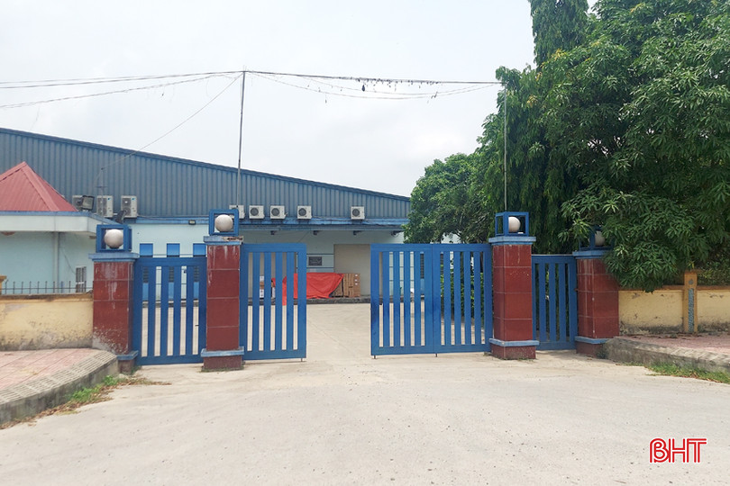 DT 20240511_115246.jpg