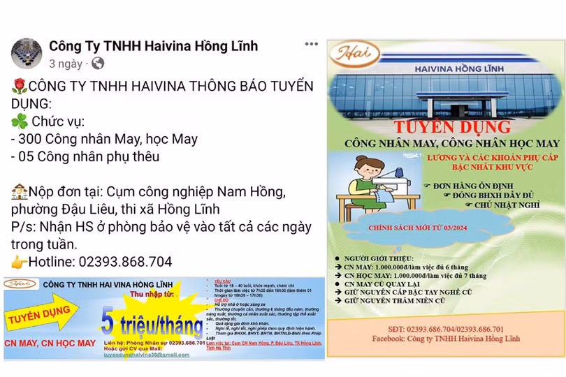 DT Untitled-1 copy.jpg