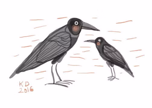 Truyện ngắn 1.200: Đàn cừu vui vẻ ảnh 4 truyen ngan 1 200 dan cuu vui ve