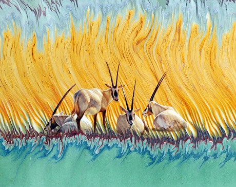 su ky dieu cua nghe thuat ve tranh trong nuoc