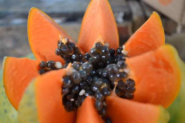 10 loai qua an vao giup da dep mien che