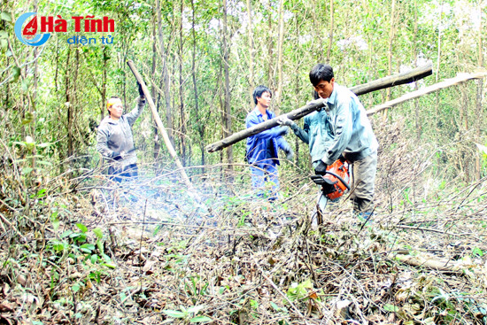 chuyen la trong trong rung san xuat