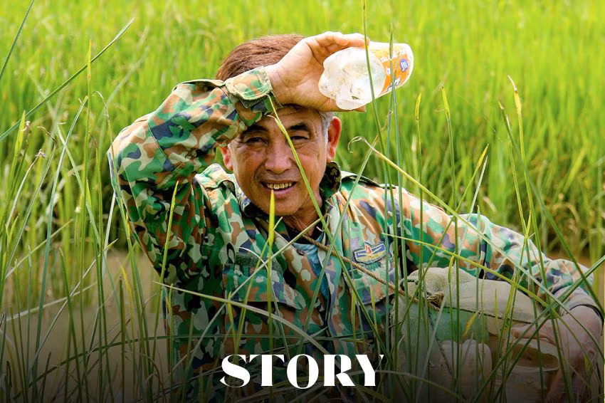 Theo chân “vua” bẫy cáy ở Nghi Xuân