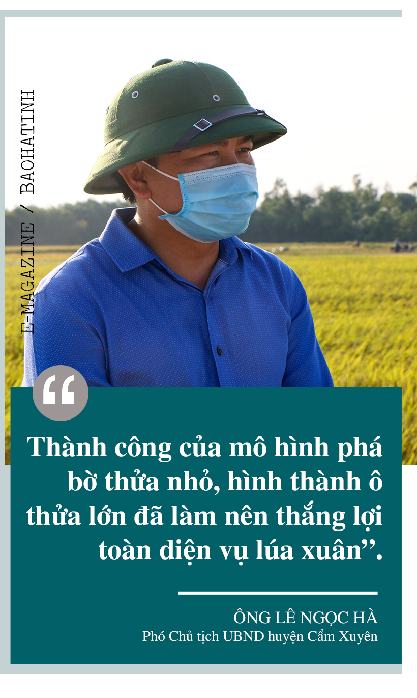 Đồng lúa hẹn hò những mùa gặt…