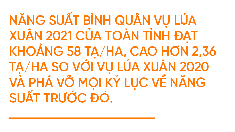 Đồng lúa hẹn hò những mùa gặt…