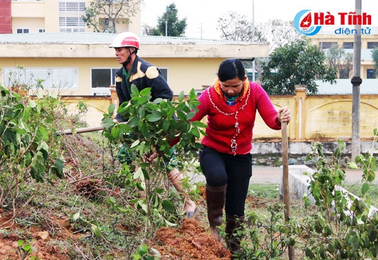 Tạo cảnh quan đồi núi phía sau tượng đài và trồng cây xung quanh khuôn viên quảng trường