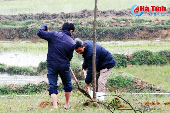 Tạo cảnh quan đồi núi phía sau tượng đài và trồng cây xung quanh khuôn viên quảng trường