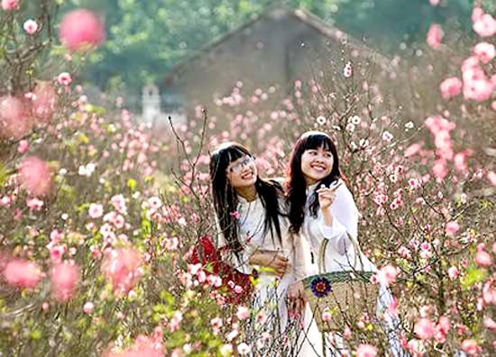 Ảnh minh họa từ internet