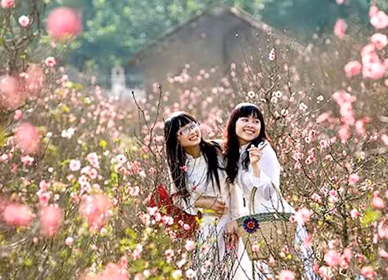 Ảnh minh họa từ internet