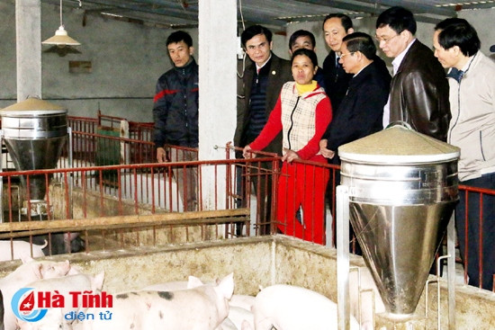 Bí thư Tỉnh ủy, Chủ tịch UBND tỉnh Lê Đình Sơn cùng đoàn công tác kiểm tra mô hình chăn nuôi lợn thương phẩm của chị Trần Thị Hòe ở xã Đức Thịnh... Bí thư Tỉnh ủy, Chủ tịch UBND tỉnh Lê Đình Sơn cùng đoàn công tác kiểm tra mô hình chăn nuôi lợn thương phẩm của chị Trần Thị Hòe ở xã Đức Thịnh...