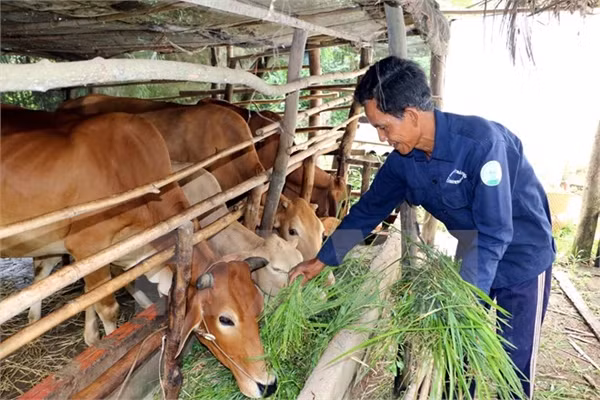 Tăng mức cho vay hộ gia đình vùng khó khăn ảnh 1