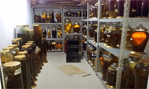 “Tiên tửu” có ba kích dành cho quý ông ảnh 1