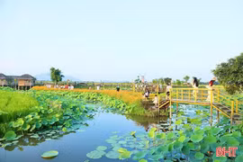 Những hợp tác xã “ươm mầm" du lịch nông thôn 