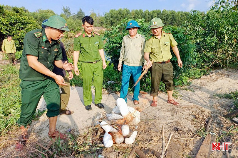 Hạt Kiểm lâm huyện Cẩm Xuyên phối hợp với các lực lượng chức năng ra quân tháo dỡ, thu hồi các phương tiện, dụng cụ bẫy bắt chim trời. IMG_2082 copy.jpg