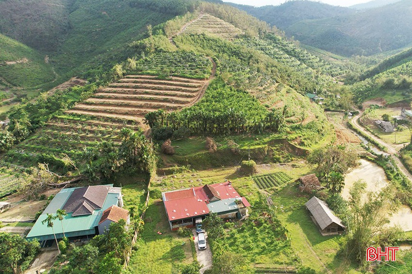 Economia grădinii îi ajută pe fermierii din comuna Vu Quang să se îmbogățească. bqbht_br_1465153120134278419-copy.jpg