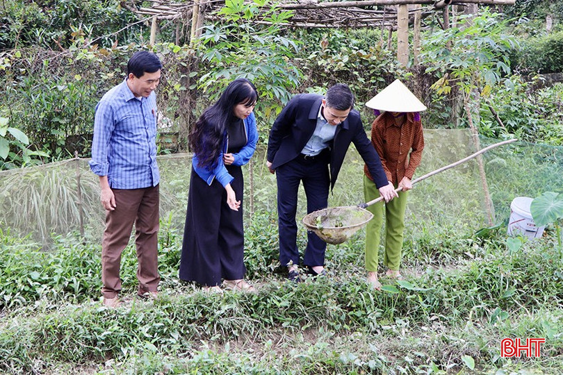 Liderii comunei Vu Quang au inspectat și au încurajat modelele economice din comună. bqbht_br_dfd4218402158e4bd704-copy.jpg