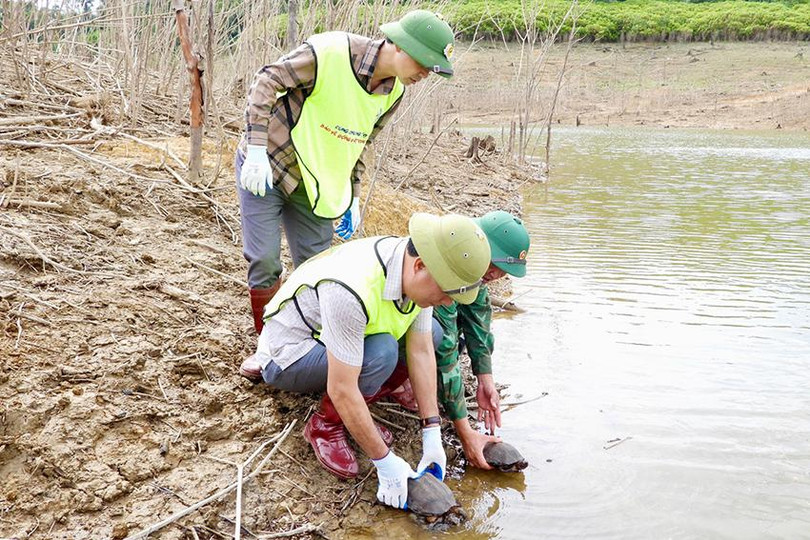 dce8e68fa69c03c25a8d copy.jpg