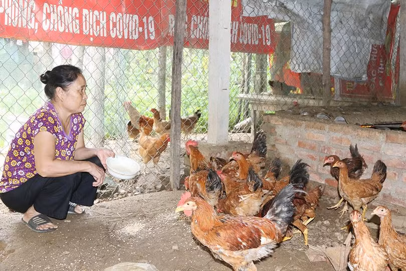 c73f749d5381f6dfaf90 copy.jpg