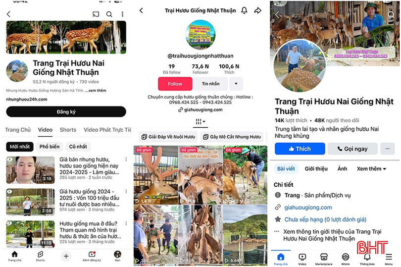 Các trang mạng xã hội chia sẻ về kinh nghiệm nuôi hươu của anh Thuận thu hút nhiều lượt xem. bqbht_br_z6118338193772-eb2b589964d7e9976d7fb394c0dfcb7d.jpg