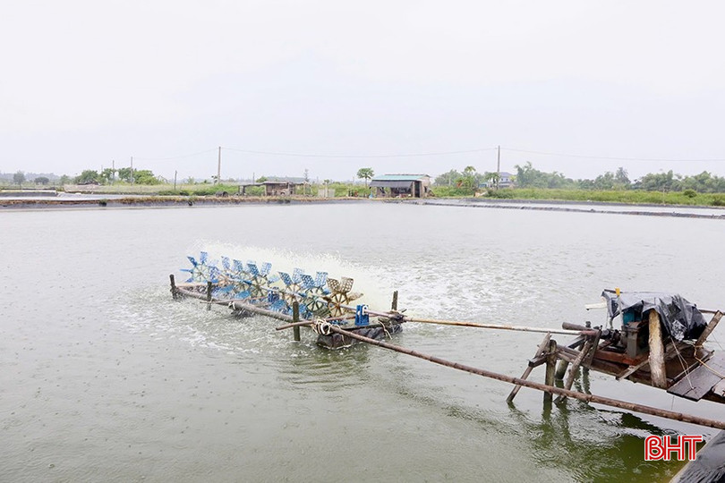 Người nuôi trồng thuỷ sản ở Hà Tĩnh đã chủ động triển khai các giải pháp để phòng, chống bão số 10. bqbht_br_img-5278-copy.jpg