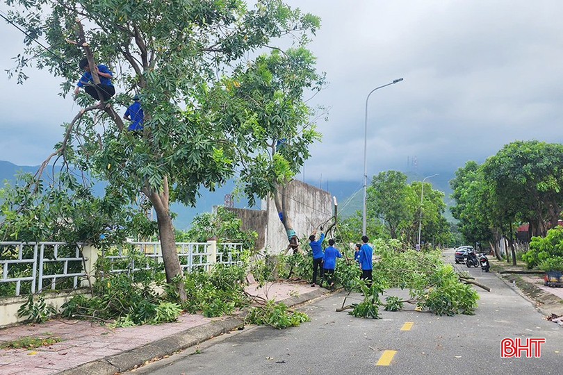 Die Delegation des Bezirks Hoanh Son mobilisierte außerdem rasch Kräfte, um bei der Baumrodung und dem Beschneiden empfindlicher Äste zu helfen und so die Sicherheit der Menschen zu gewährleisten. Đoàn phường Hoành Sơn cũng đã nhanh chóng huy động lực lượng hỗ trợ phát quang cây cối, chặt tỉa các cành dễ gãy nhằm đảm bảo an toàn cho người dân.