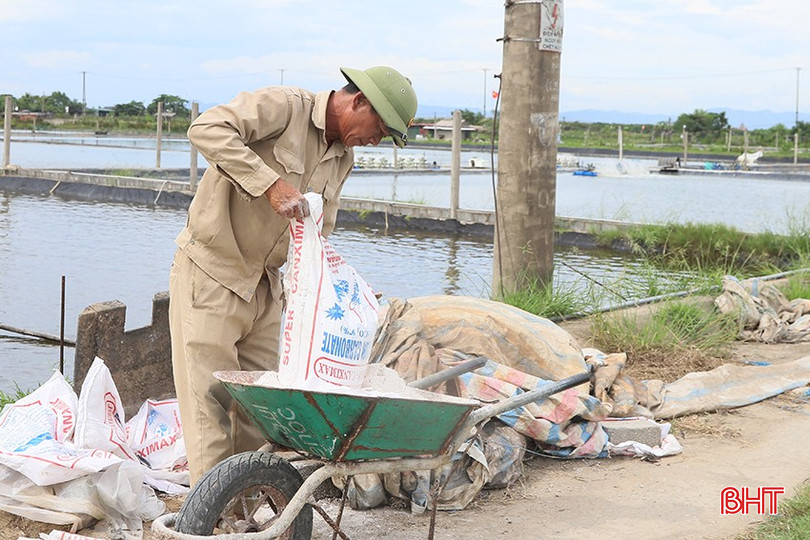 Với kinh nghiệm nhiều năm, các hộ nuôi tôm tại phường Trần Phú đã tăng cường các biện pháp xử lý nguồn nước khi có dự báo mưa bão. bqbht_br_kk3.jpg