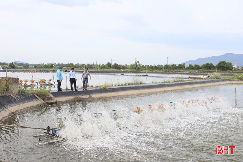 Lãnh đạo phường Trần Phú kiểm tra các diện tích nuôi trồng thủy sản nuôi trước dự báo mưa bão. bqbht_br_kk4.jpg