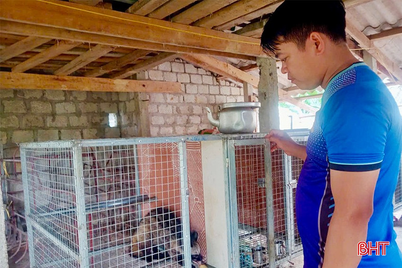 Không chỉ làm kinh tế giỏi, anh Trần Văn Toàn còn là Chi hội trưởng Chi hội Nông dân gương mẫu của thôn Ngân Kiều. bqbht_br_img-0354-copy.jpg