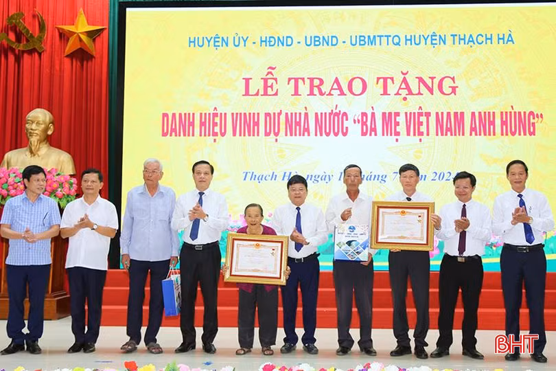 c807c9caad9008ce5181 copy.jpg