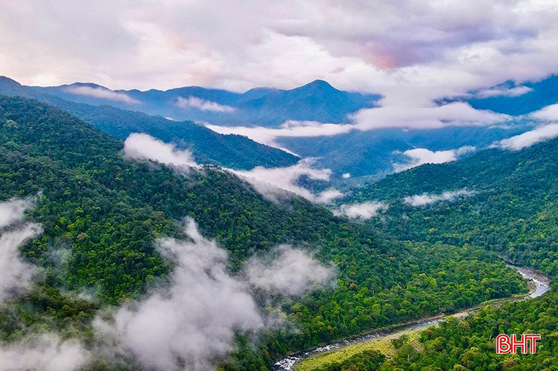 Vườn Quốc gia Vũ Quang đang triển khai đồng bộ các giải pháp để bảo vệ "lá phổi xanh" trước giặc lửa. bqbht_br_img-8651-copy.jpg