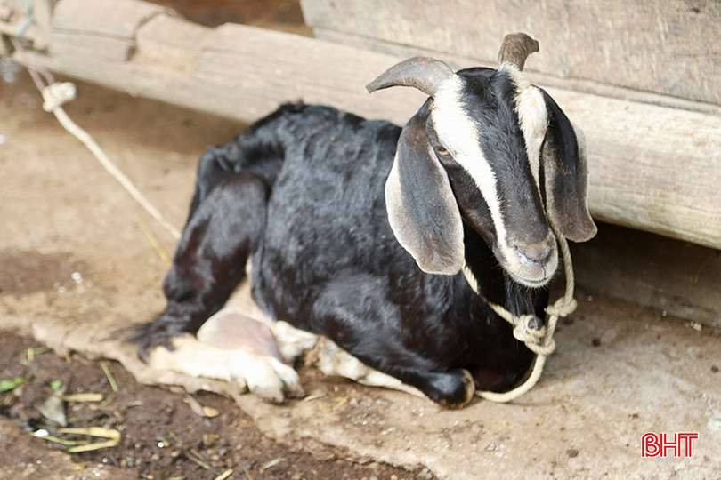 bqbht_br_img-6200-2-cópia.jpg