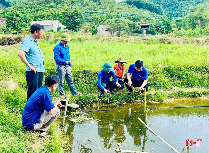 Ốc bươu đen dễ nuôi, mang lại lợi nhuận khá cho người dân xã Mai Hoa. bqbht_br_1hg87la2l-av7pd5-copy.jpg