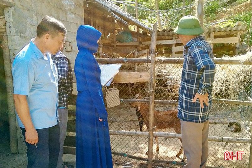 d9b3a9a5b9e11dbf44f0 copy.jpg