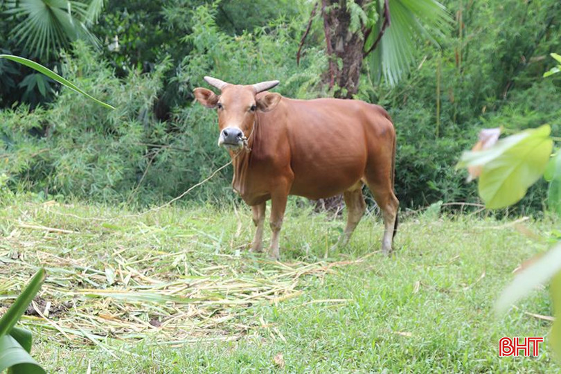 3fd5723e1becbeb2e7fd copy.jpg