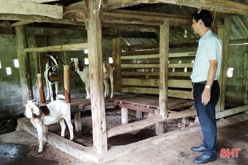 37d197c1818525db7c94 copy.jpg