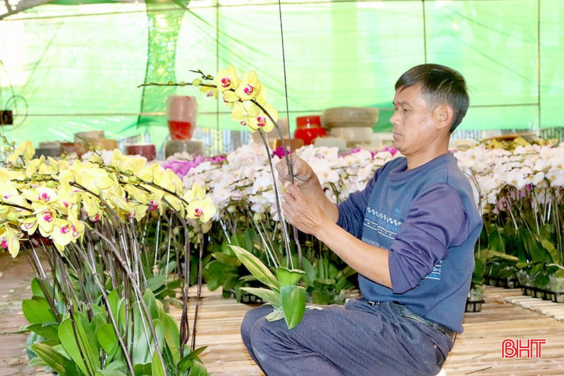 Công việc cắm hoa lan vào dịp Tết giúp anh Võ Văn Bé Ba (xã Nam Điền, Thạch Hà) có thu nhập ổn định. bqbht_br_img-3845-copy.jpg