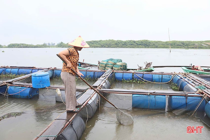 Người nuôi trồng thủy sản chủ động triển khai các giải pháp, hạn chế thiệt hại do mưa lũ. bqbht_br_img-1026-2-copy.jpg