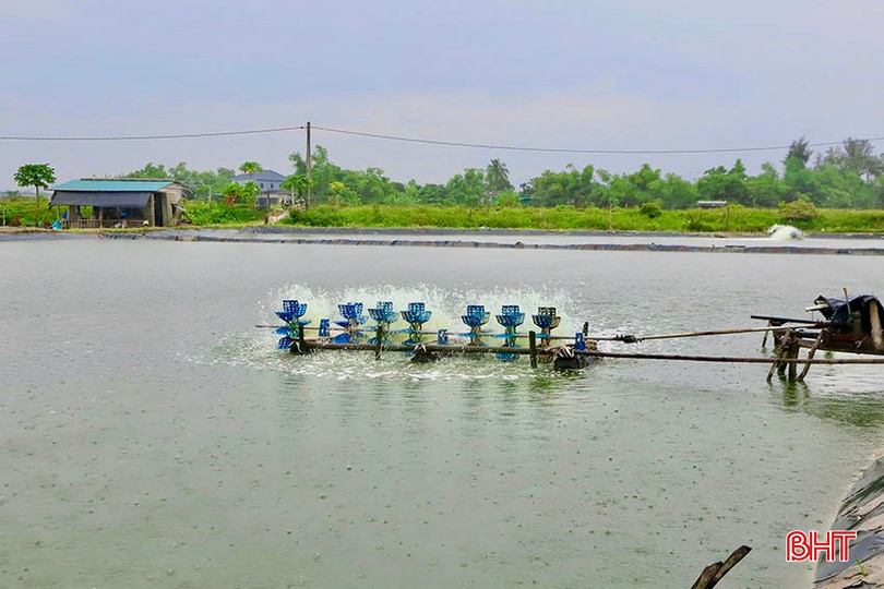 Thời tiết mưa lớn có thể làm thay đổi các chỉ số trong ao nuôi. bqbht_br_img-1019-copy.jpg